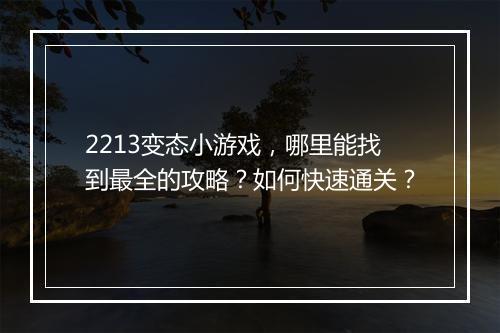 2213变态小游戏,哪里能找到最全的攻略?如何快速通关?