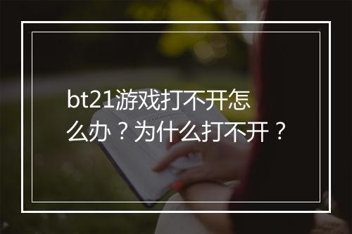 bt21游戏打不开怎么办？为什么打不开？
