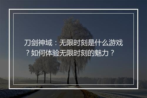 刀剑神域：无限时刻是什么游戏？如何体验无限时刻的魅力？