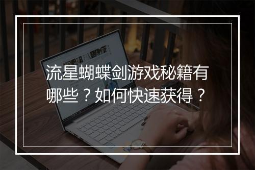 流星蝴蝶剑游戏秘籍有哪些？如何快速获得？