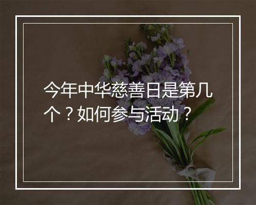 今年中华慈善日是第几个？如何参与活动？