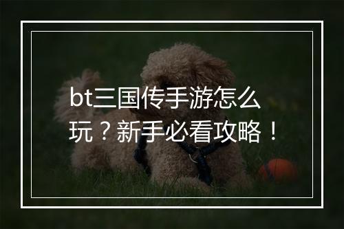 bt三国传手游怎么玩？新手必看攻略！