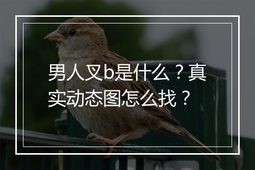 男人叉b是什么？真实动态图怎么找？