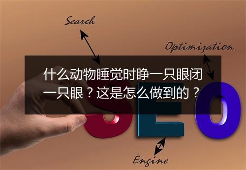 什么动物睡觉时睁一只眼闭一只眼?这是怎么做到的?