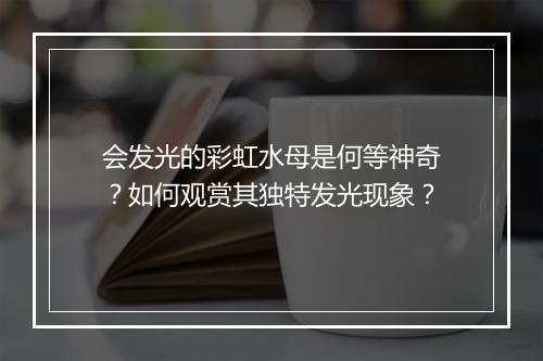 会发光的彩虹水母是何等神奇？如何观赏其独特发光现象？