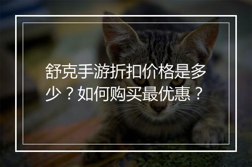 舒克手游折扣价格是多少？如何购买最优惠？