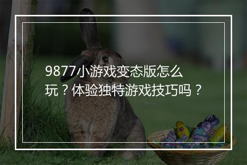 9877小游戏变态版怎么玩?体验独特游戏技巧吗?
