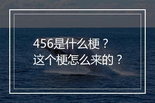 456是什么梗？这个梗怎么来的？