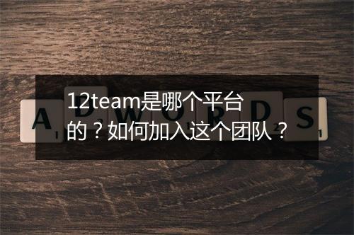 12team是哪个平台的?如何加入这个团队?