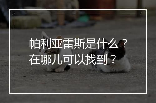 帕利亚雷斯是什么？在哪儿可以找到？