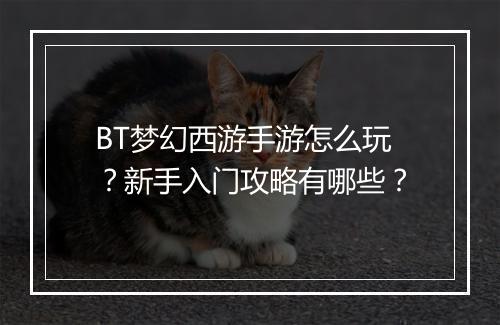 BT梦幻西游手游怎么玩?新手入门攻略有哪些?