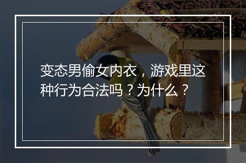 变态男偷女内衣,游戏里这种行为合法吗?为什么?