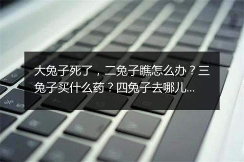 大兔子死了,二兔子瞧怎么办?三兔子买什么药?四兔子去哪儿?