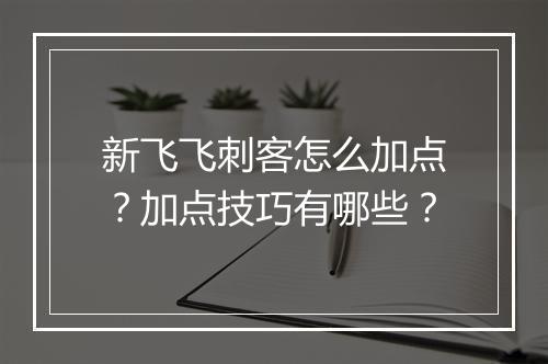 新飞飞刺客怎么加点?加点技巧有哪些?