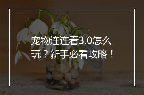 宠物连连看3.0怎么玩?新手必看攻略!