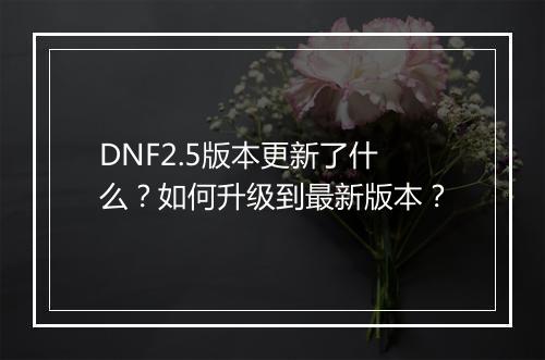 DNF2.5版本更新了什么？如何升级到最新版本？