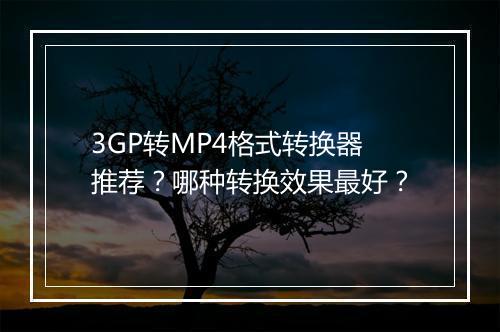 3GP转MP4格式转换器推荐？哪种转换效果最好？