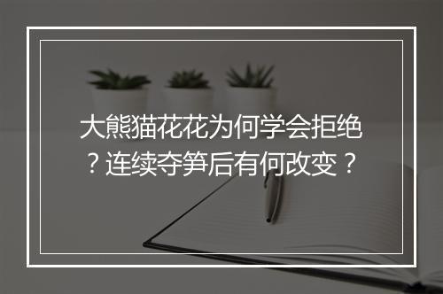 大熊猫花花为何学会拒绝？连续夺笋后有何改变？