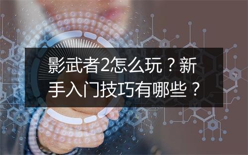 影武者2怎么玩？新手入门技巧有哪些？