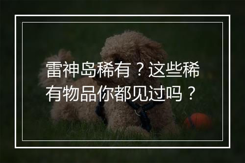 雷神岛稀有?这些稀有物品你都见过吗?