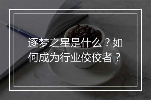 逐梦之星是什么？如何成为行业佼佼者？