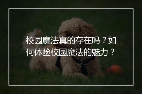 校园魔法真的存在吗？如何体验校园魔法的魅力？