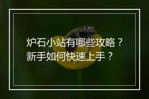 炉石小站有哪些攻略？新手如何快速上手？