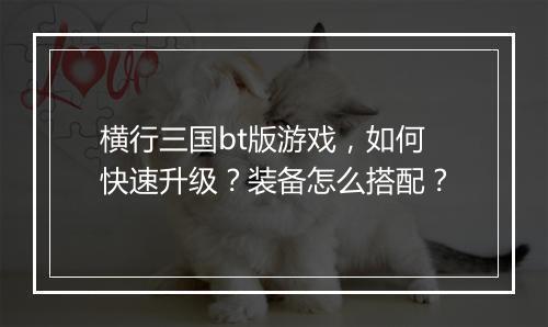 横行三国bt版游戏，如何快速升级？装备怎么搭配？