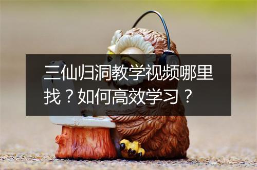 三仙归洞教学视频哪里找？如何高效学习？