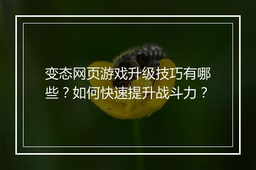 变态网页游戏升级技巧有哪些？如何快速提升战斗力？