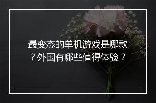 最变态的单机游戏是哪款?外国有哪些值得体验?
