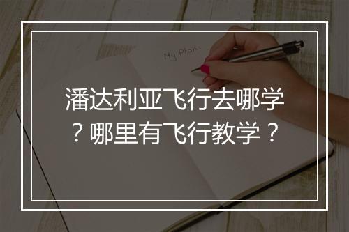 潘达利亚飞行去哪学？哪里有飞行教学？