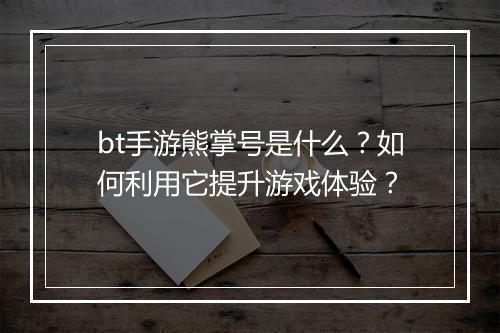 bt手游熊掌号是什么?如何利用它提升游戏体验?
