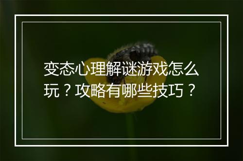 变态心理解谜游戏怎么玩？攻略有哪些技巧？