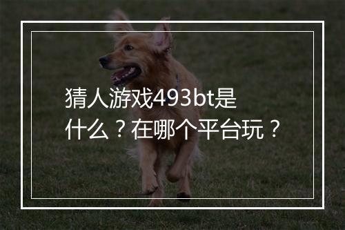 猜人游戏493bt是什么?在哪个平台玩?