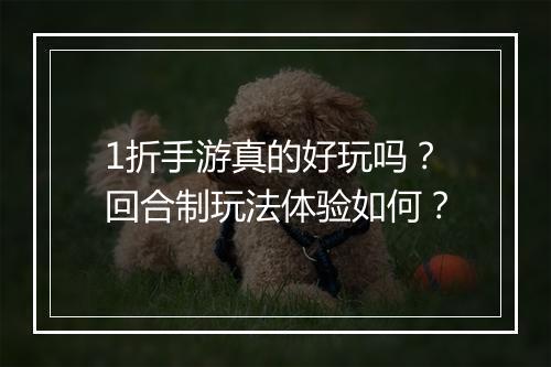 1折手游真的好玩吗？回合制玩法体验如何？