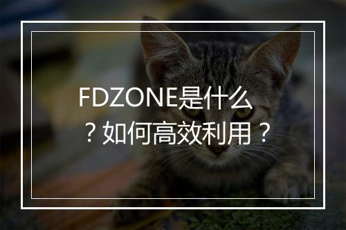 FDZONE是什么？如何高效利用？