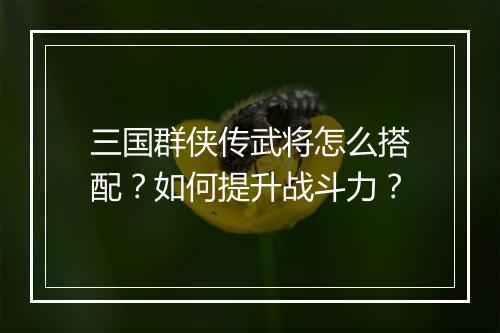 三国群侠传武将怎么搭配?如何提升战斗力?