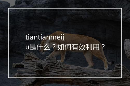 tiantianmeiju是什么？如何有效利用？