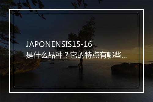 JAPONENSIS15-16是什么品种?它的特点有哪些?