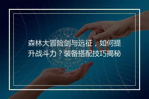 森林大冒险剑与远征，如何提升战斗力？装备搭配技巧揭秘