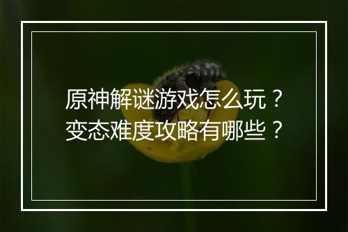 原神解谜游戏怎么玩?变态难度攻略有哪些?