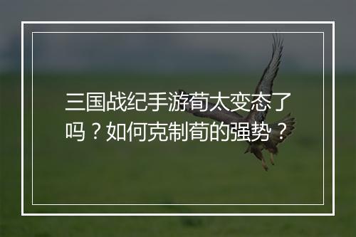 三国战纪手游荀太变态了吗？如何克制荀的强势？