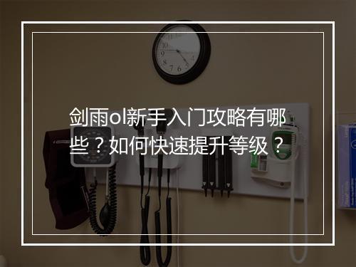 剑雨ol新手入门攻略有哪些?如何快速提升等级?