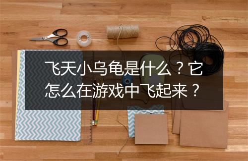 飞天小乌龟是什么？它怎么在游戏中飞起来？