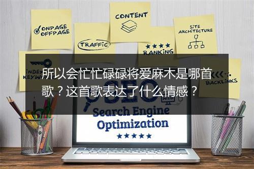 所以会忙忙碌碌将爱麻木是哪首歌?这首歌表达了什么情感?
