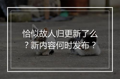 恰似故人归更新了么？新内容何时发布？