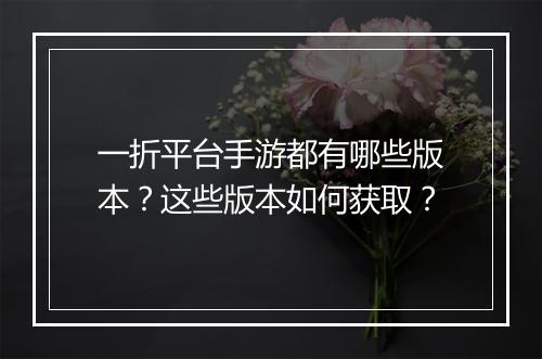 一折平台手游都有哪些版本?这些版本如何获取?
