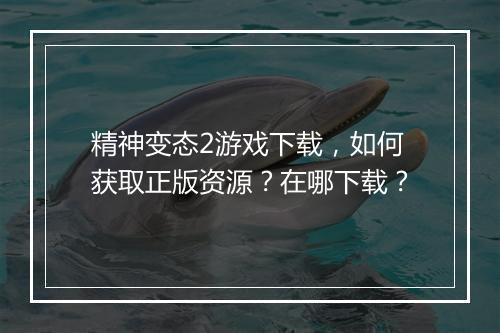 精神变态2游戏下载，如何获取正版资源？在哪下载？