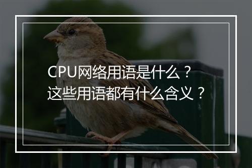 CPU网络用语是什么？这些用语都有什么含义？